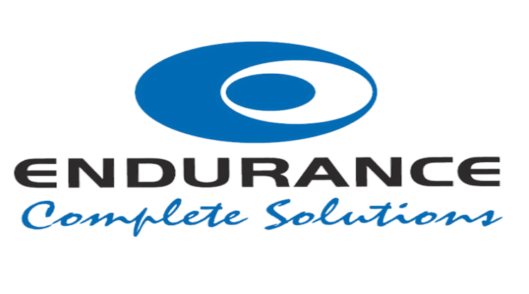 Endurance logo — Skill-Lync enterprise training partner